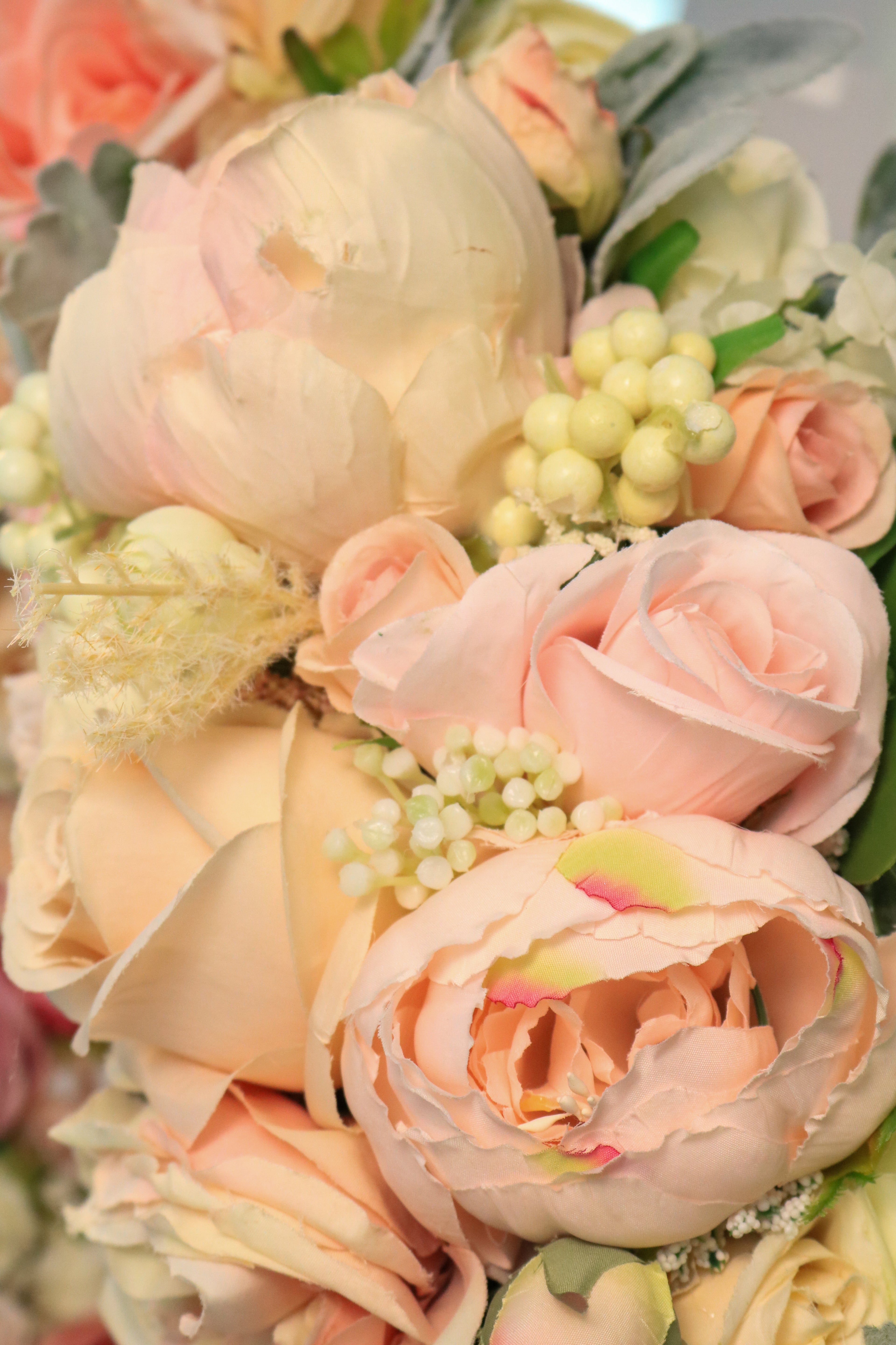 Blush No. 1