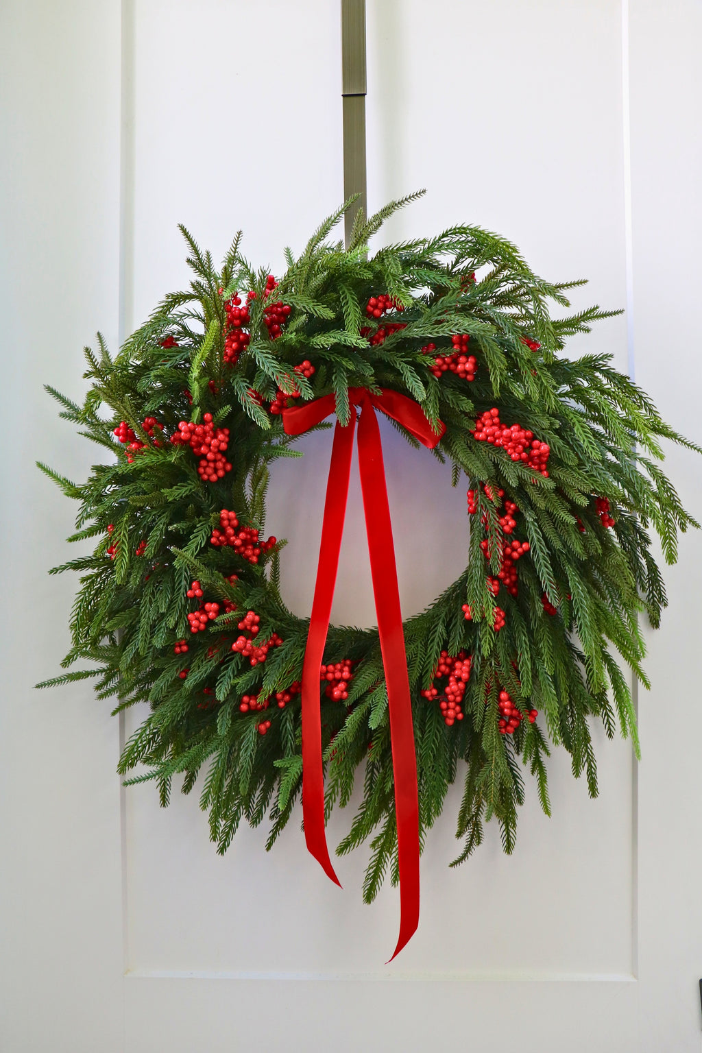 Scarlet Welcome Norfolk Christmas Wreath — professional product photo 1.