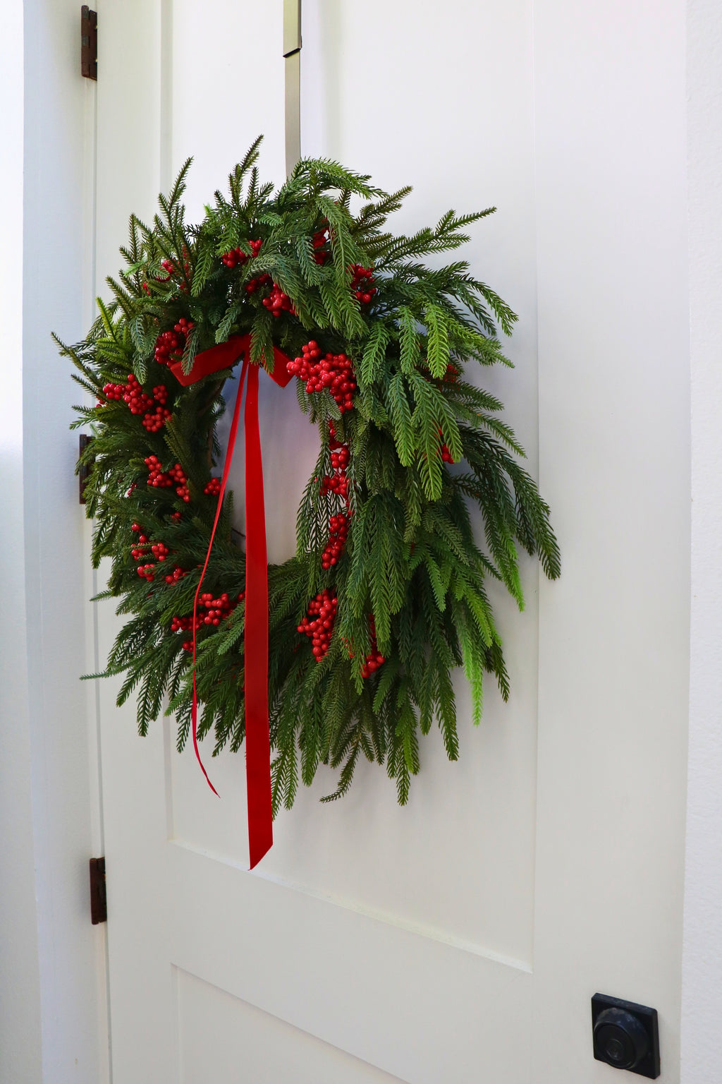 Scarlet Welcome Norfolk Christmas Wreath — professional product photo 2.