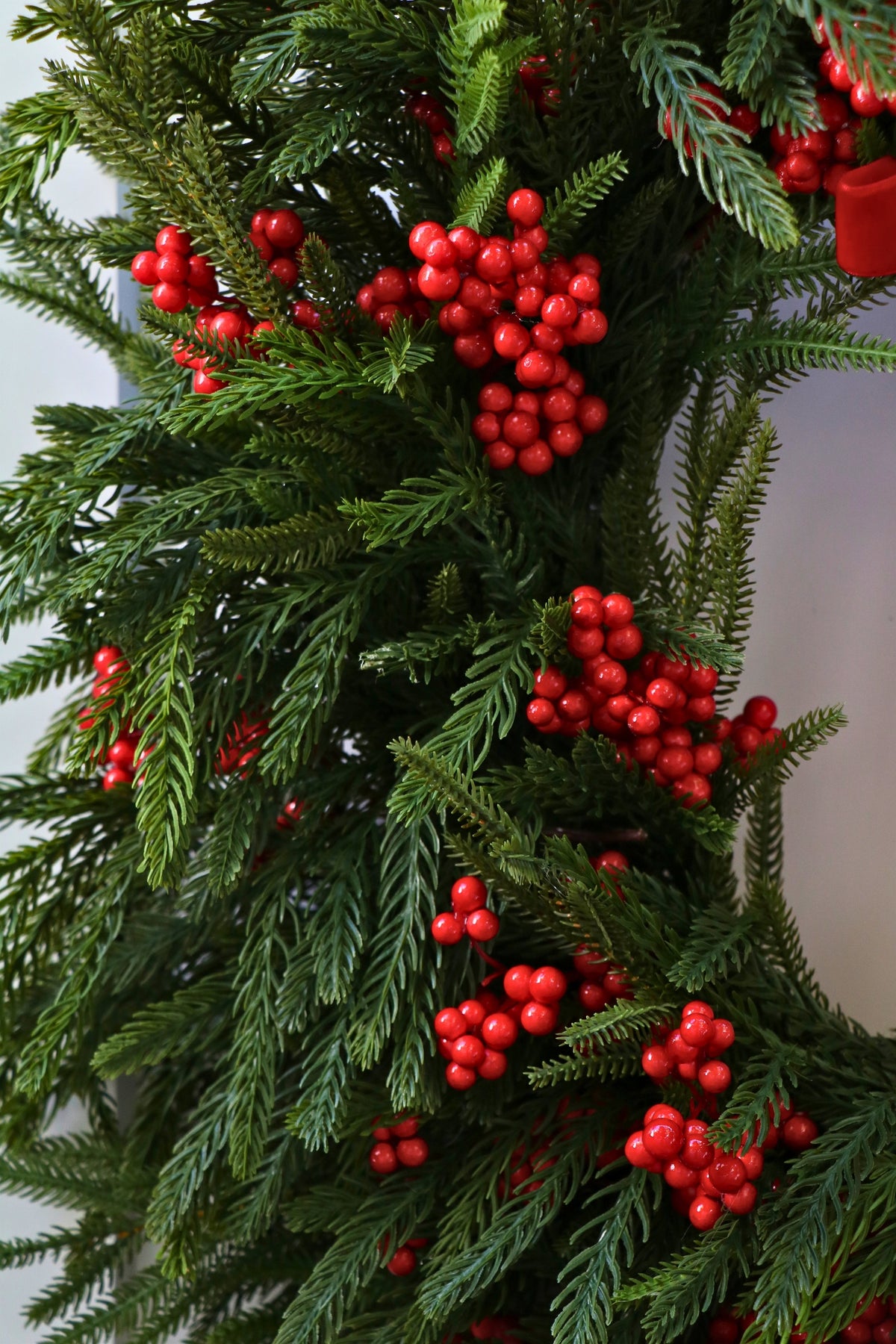 Scarlet Welcome Norfolk Christmas Wreath — professional product photo 3.