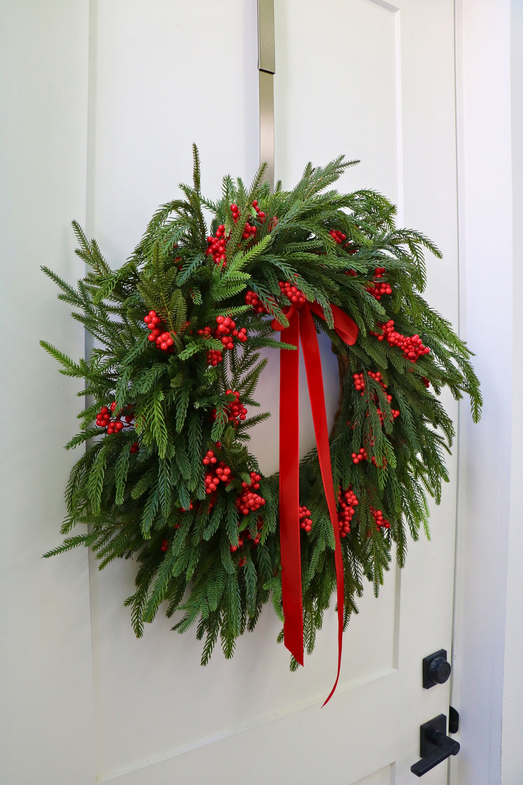 Scarlet Welcome Norfolk Christmas Wreath — professional product photo 4.
