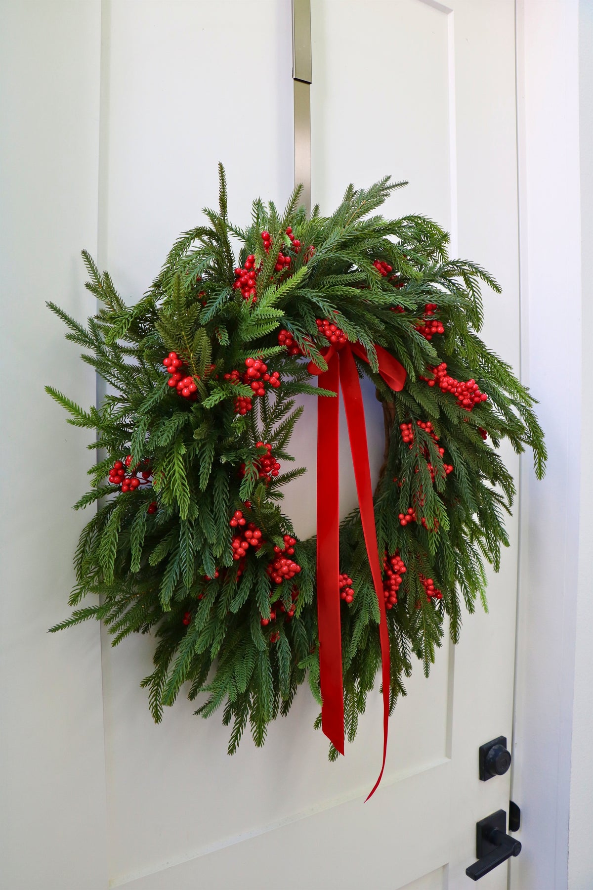 Scarlet Welcome Norfolk Christmas Wreath — professional product photo 4.