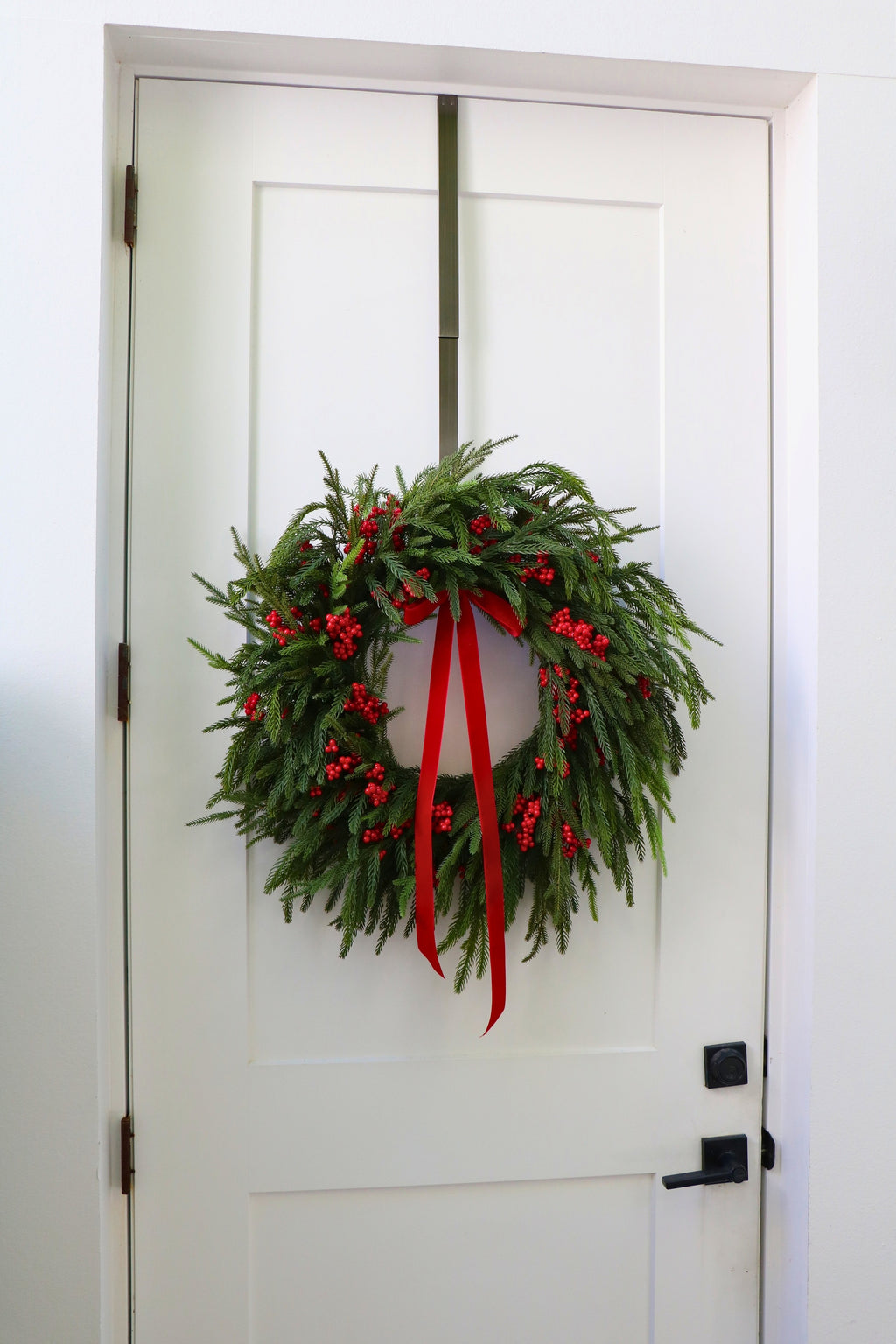 Scarlet Welcome Norfolk Christmas Wreath — professional product photo 5.