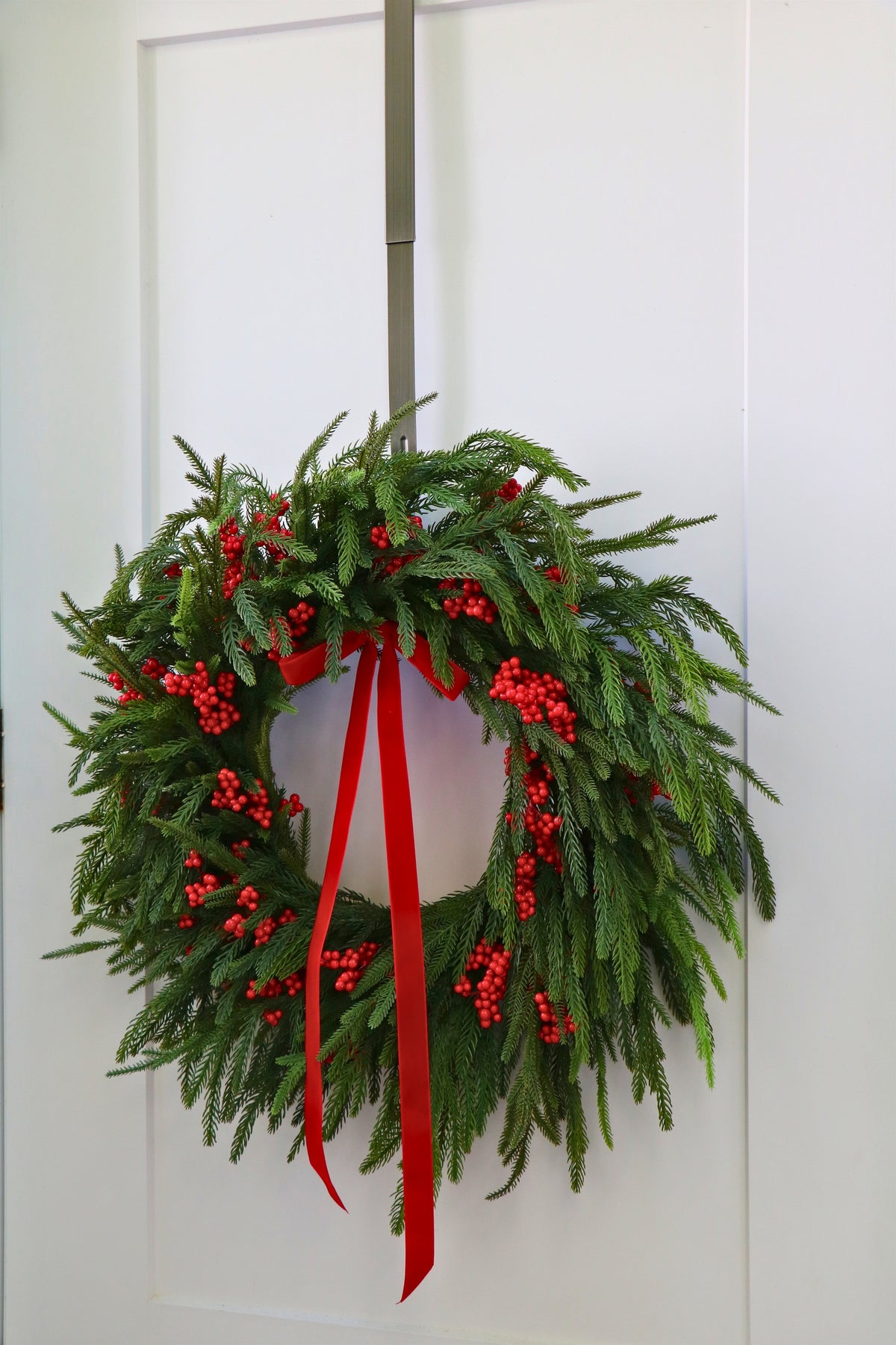 Scarlet Welcome Norfolk Christmas Wreath — professional product photo 6.