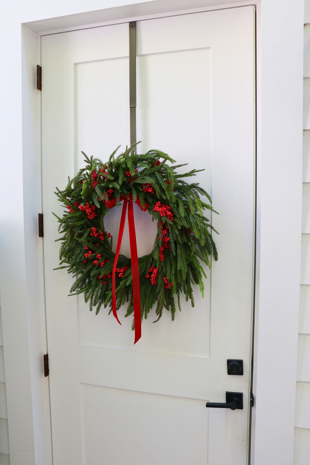 Scarlet Welcome Norfolk Christmas Wreath — professional product photo 7.