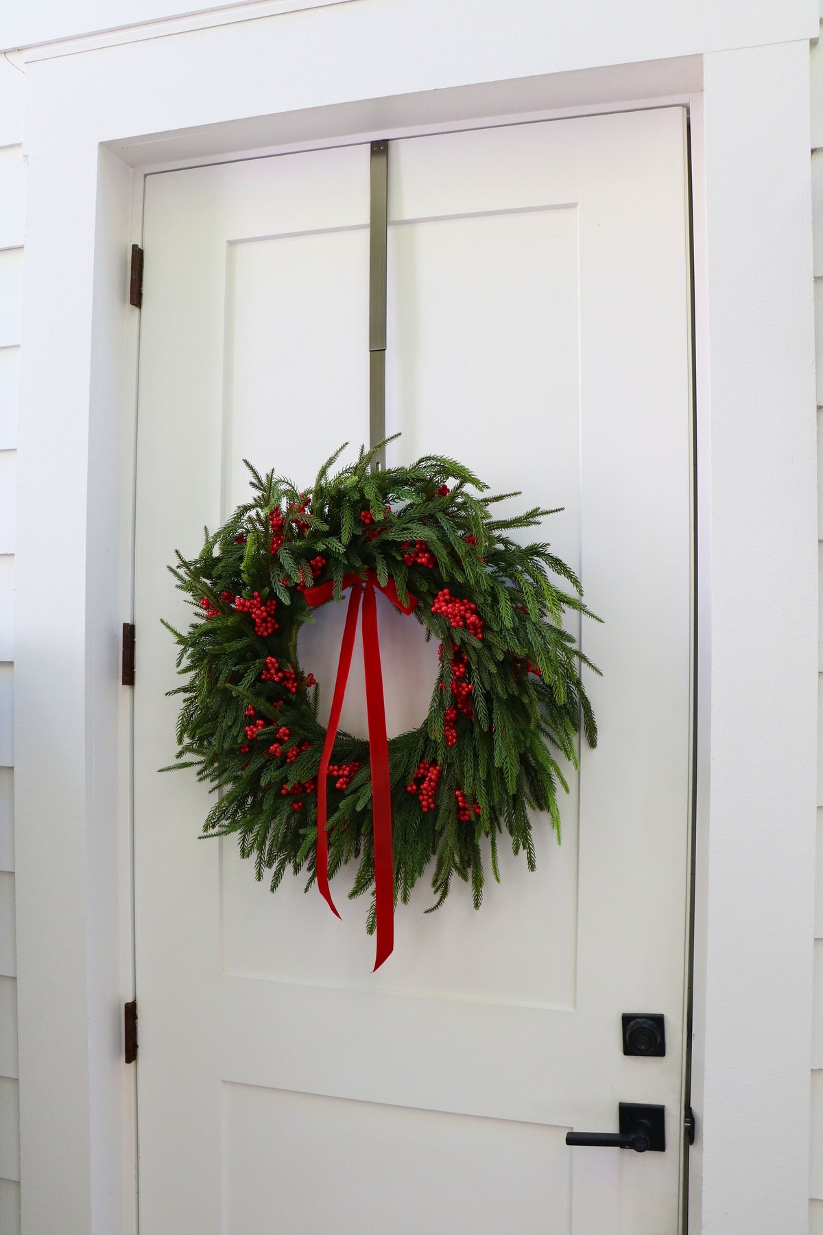 Scarlet Welcome Norfolk Christmas Wreath — professional product photo 9.