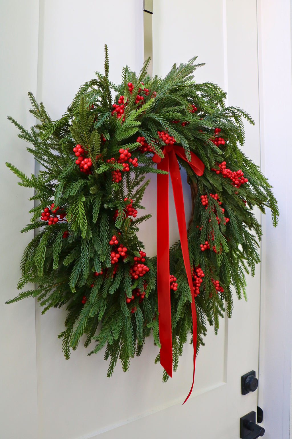 Scarlet Welcome Norfolk Christmas Wreath — professional product photo 10.