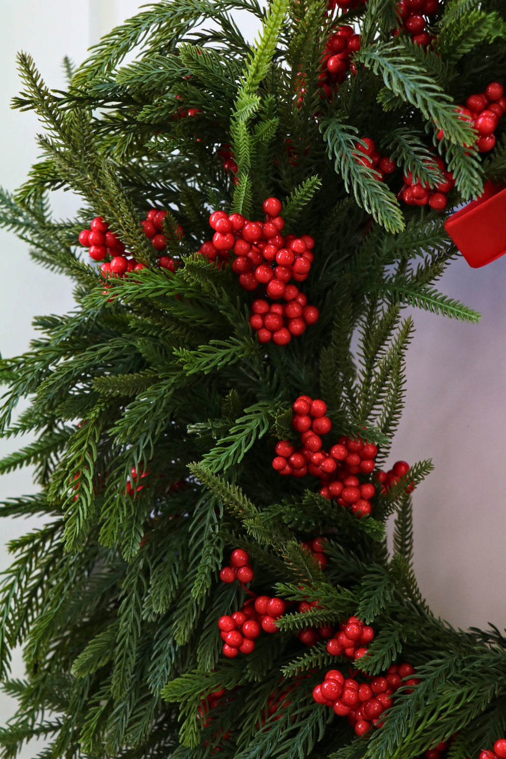 Scarlet Welcome Norfolk Christmas Wreath — professional product photo 11.