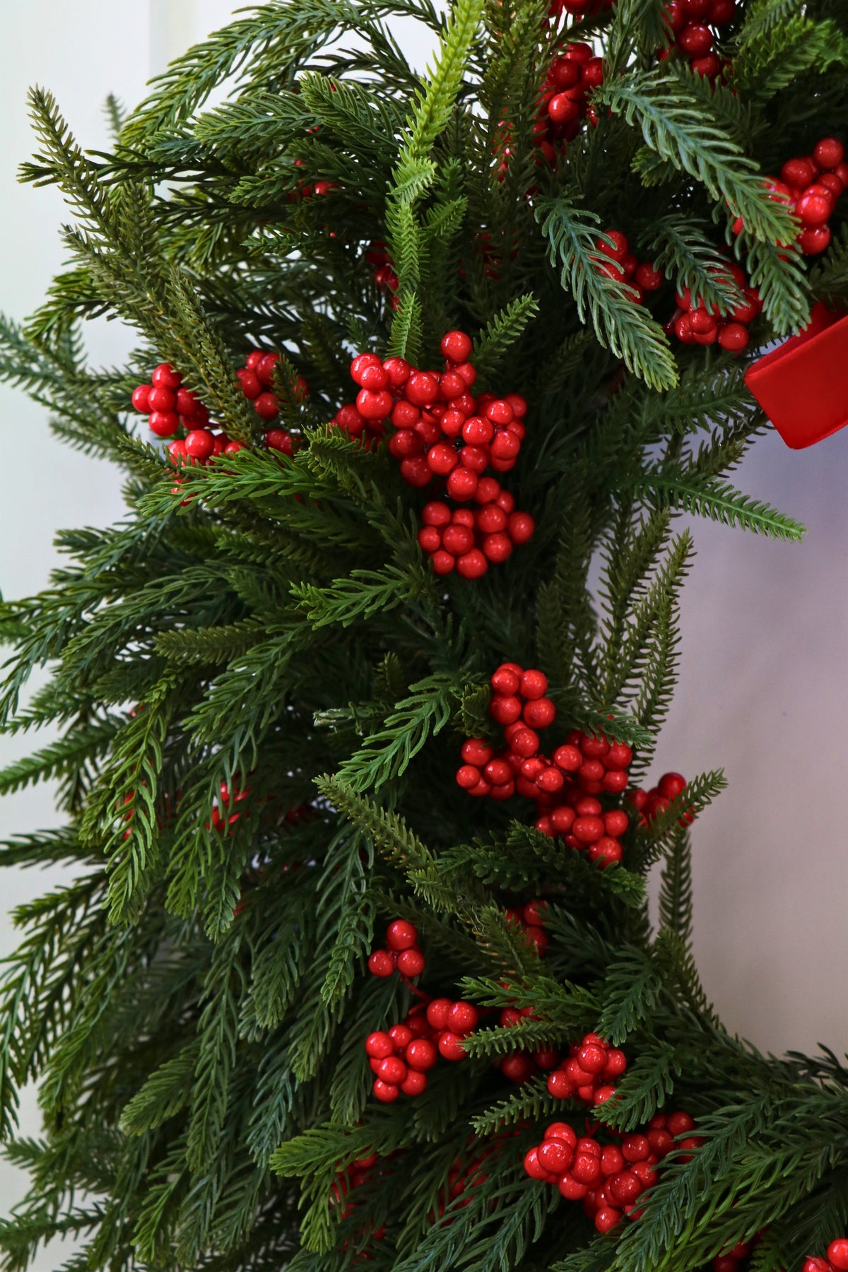 Scarlet Welcome Norfolk Christmas Wreath — professional product photo 11.