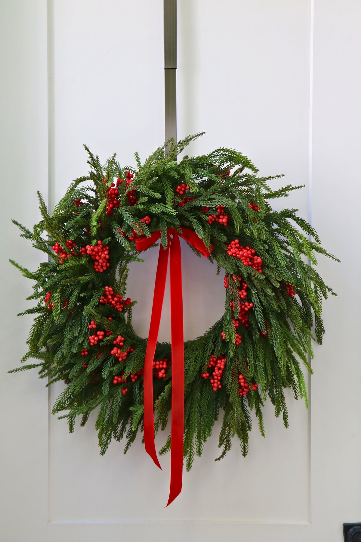 Scarlet Welcome Norfolk Christmas Wreath — professional product photo 12.