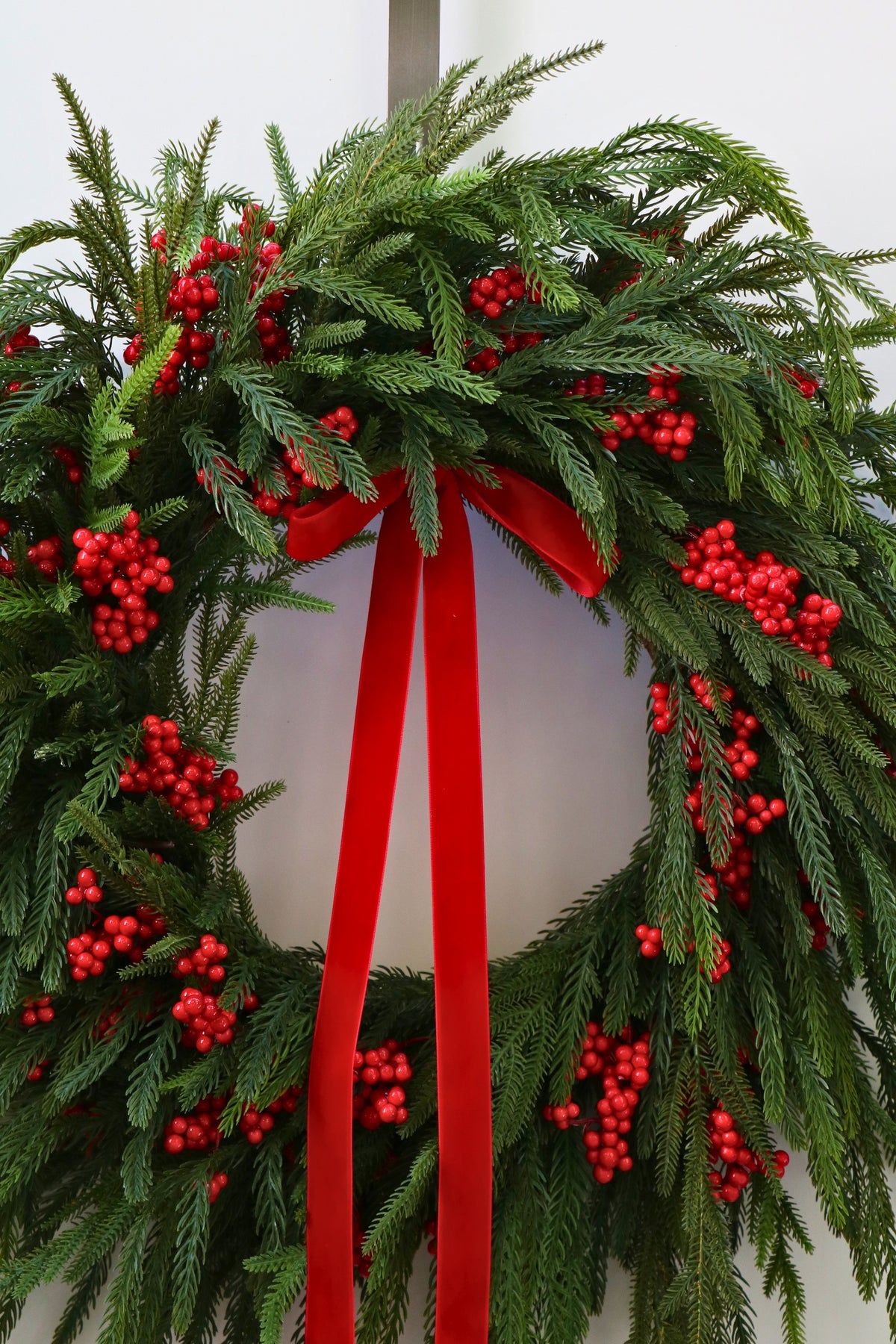 Scarlet Welcome Norfolk Christmas Wreath — professional product photo 13.