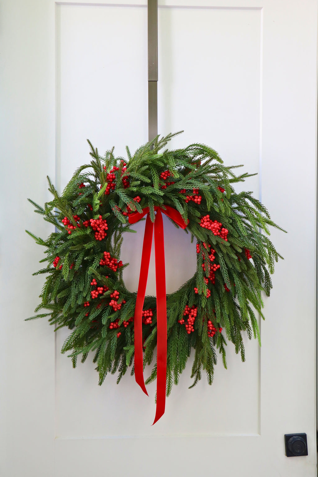 Scarlet Welcome Norfolk Christmas Wreath — professional product photo 14.