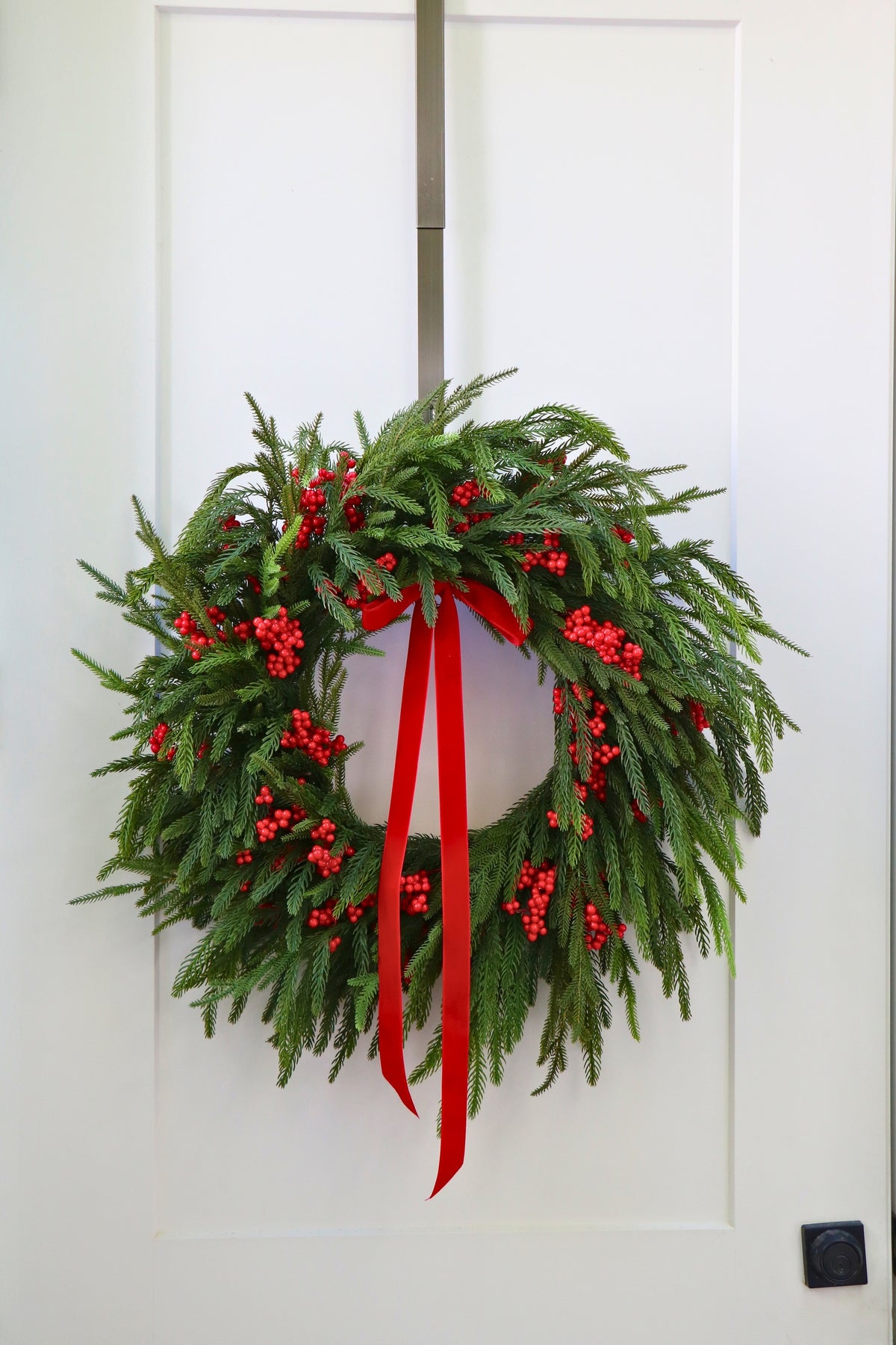 Scarlet Welcome Norfolk Christmas Wreath — professional product photo 14.