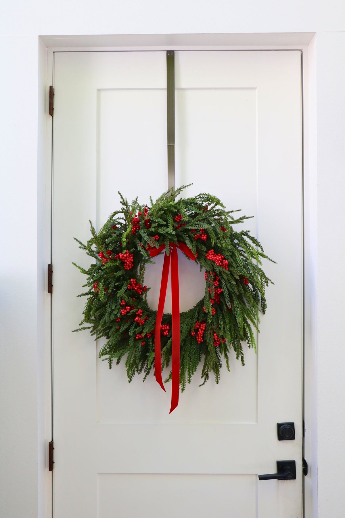 Scarlet Welcome Norfolk Christmas Wreath — professional product photo 15.