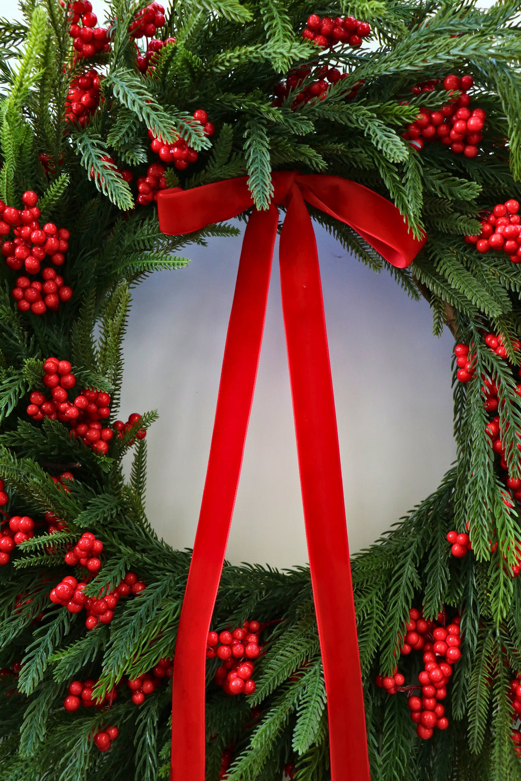 Scarlet Welcome Norfolk Christmas Wreath — professional product photo 16.