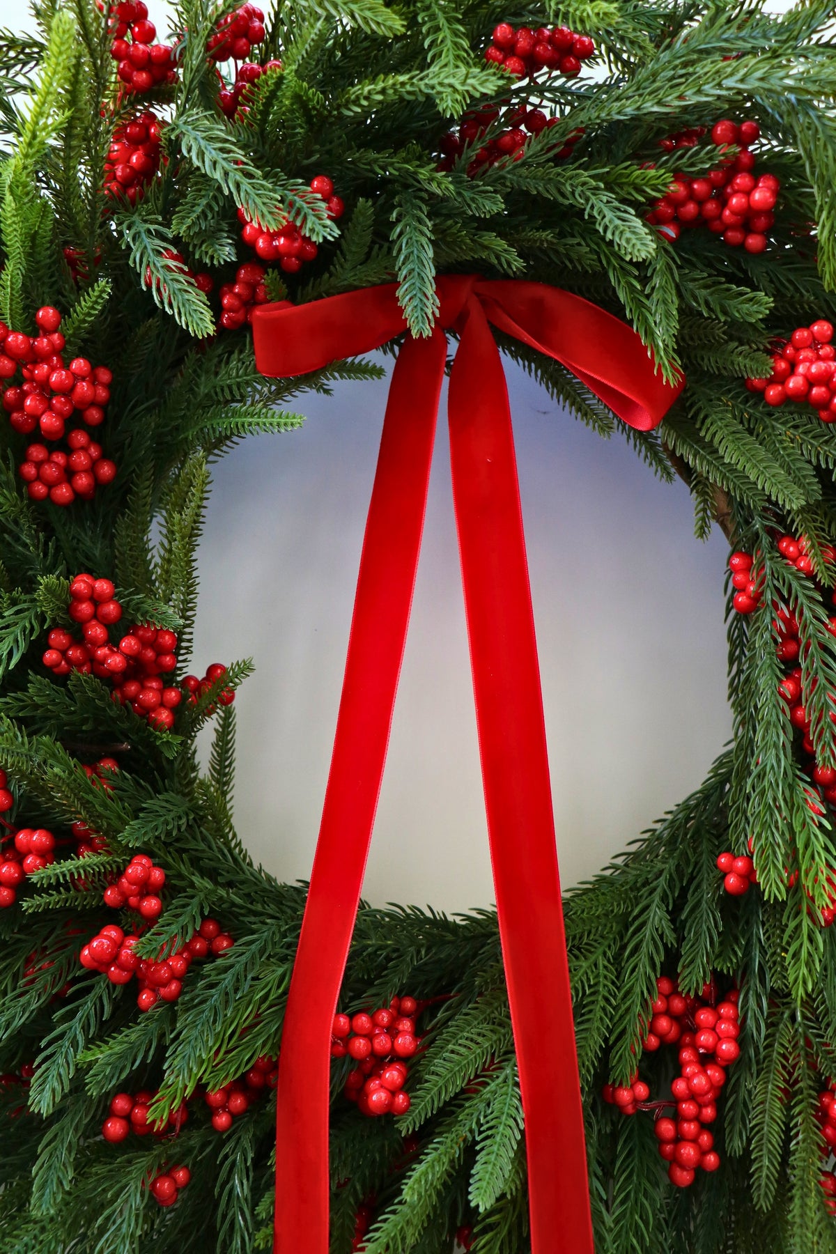Scarlet Welcome Norfolk Christmas Wreath — professional product photo 16.