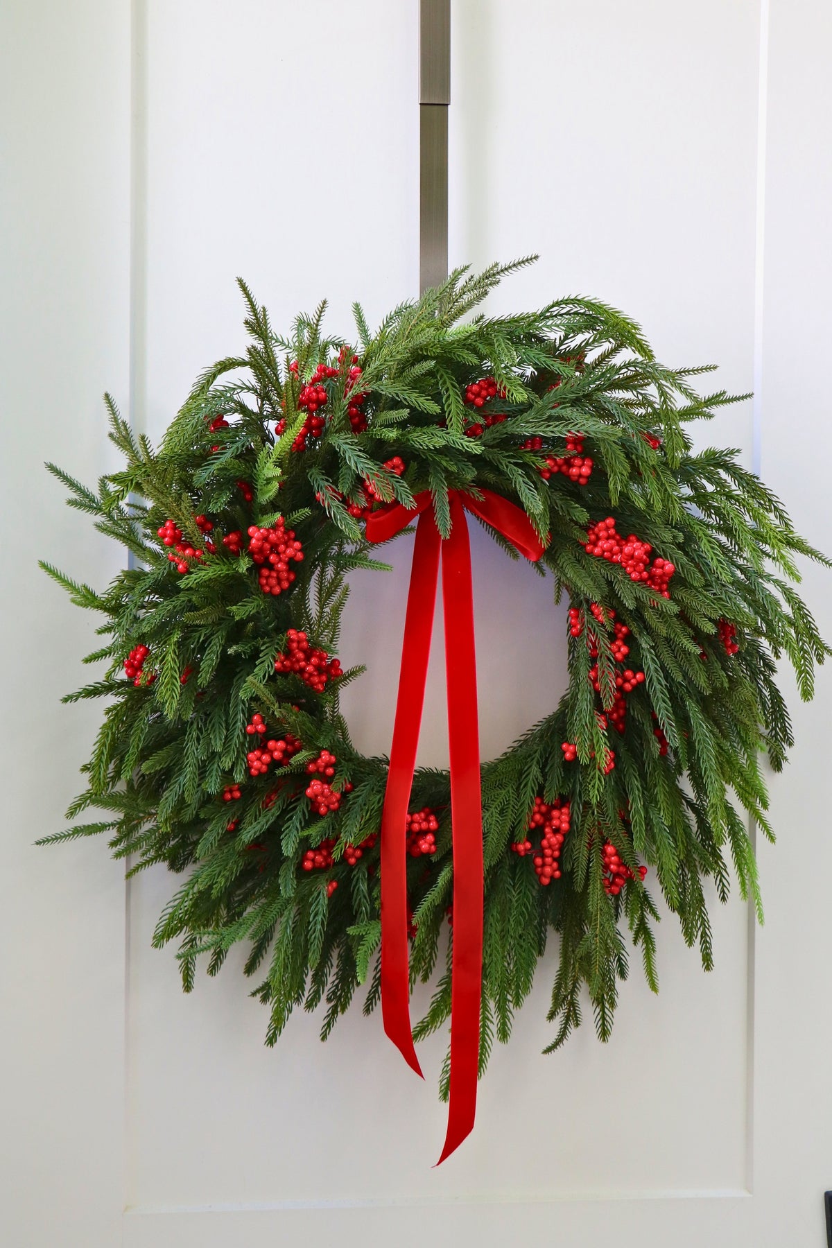 Scarlet Welcome Norfolk Christmas Wreath — professional product photo 17.