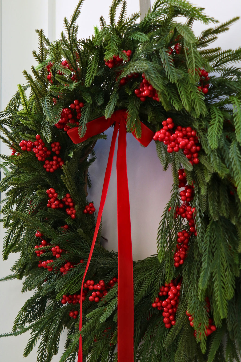 Scarlet Welcome Norfolk Christmas Wreath — professional product photo 19.