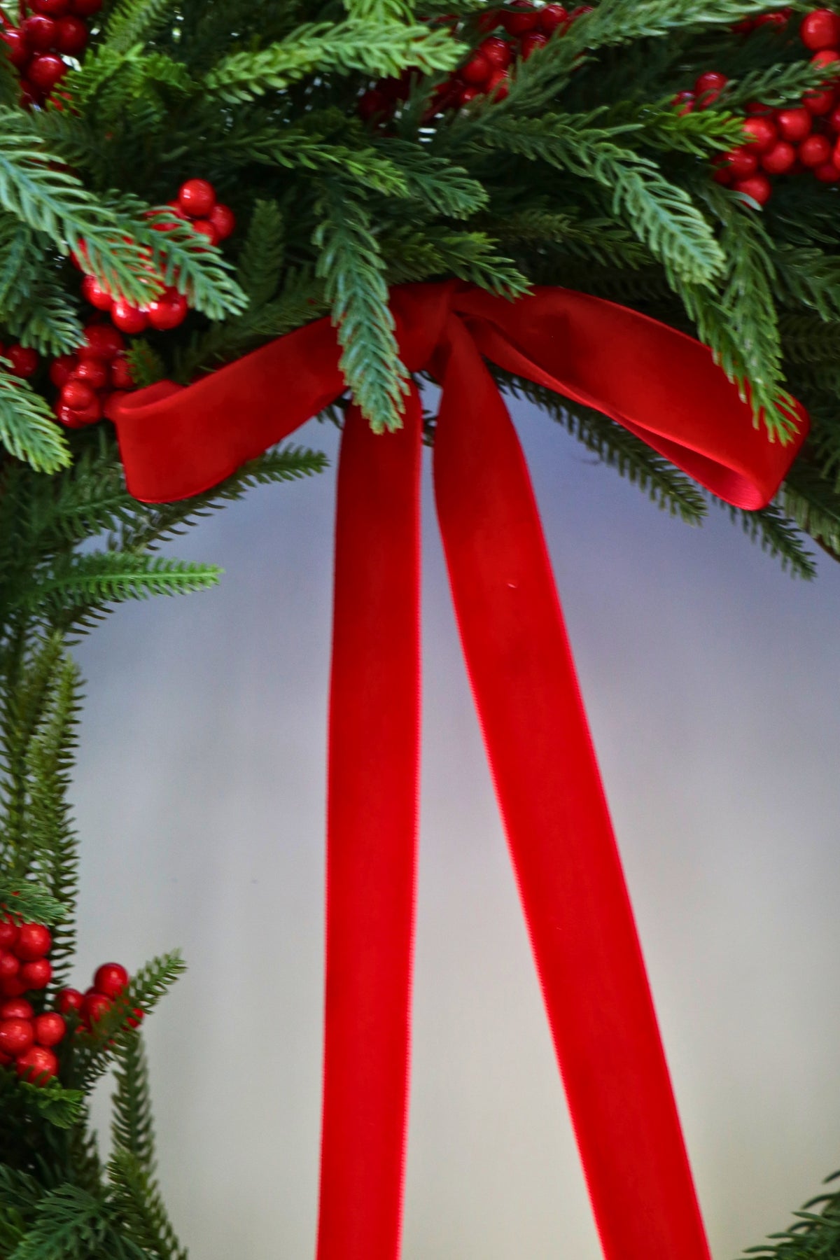 Scarlet Welcome Norfolk Christmas Wreath — professional product photo 20.